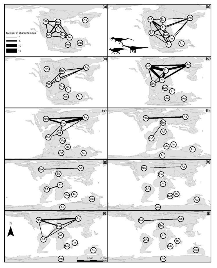 dino networks