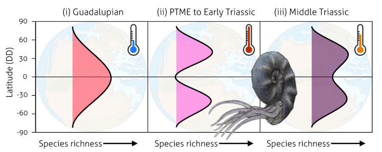 Calamari hypthoses plots