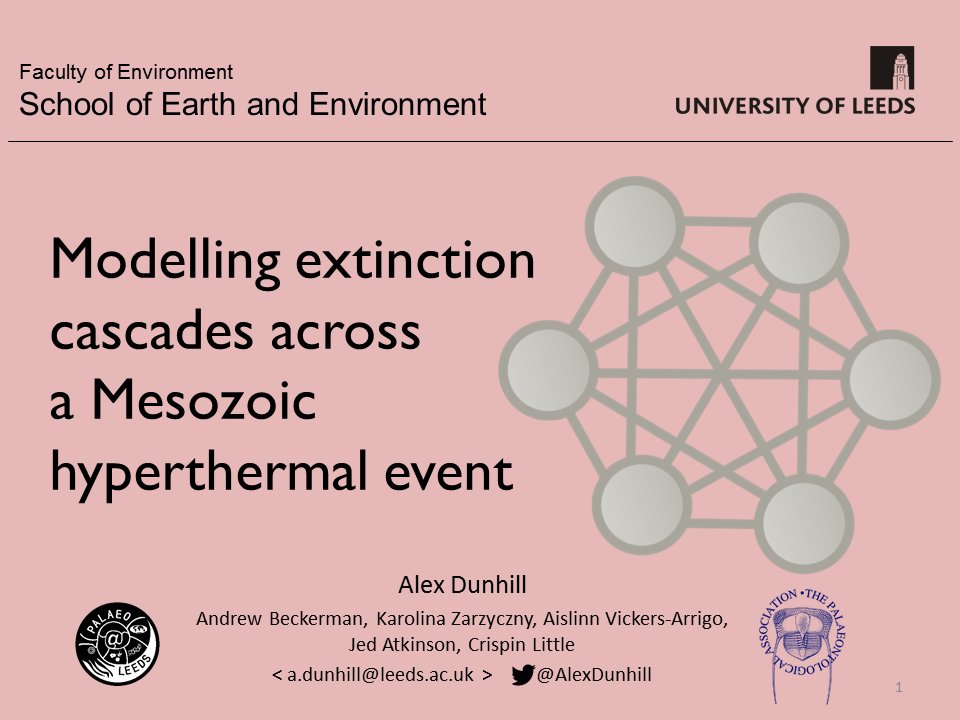 Some examples of presentations by the team