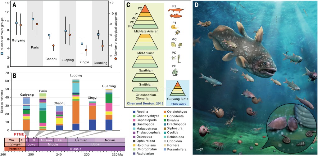 Figure from Dai et al 2023 showing ecosystem recovery was much earlier than thought after the PTME. Includes graphs and a palaeoart reconstruction of an Early Triassic marine community.